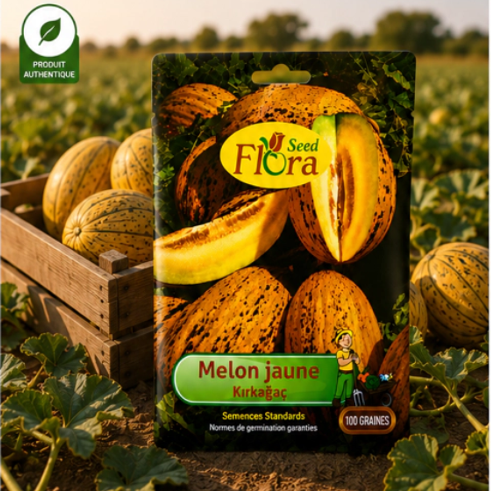 Graines De Melon Jaune Kırkağaç – 100 Graines - Image 1 of 1