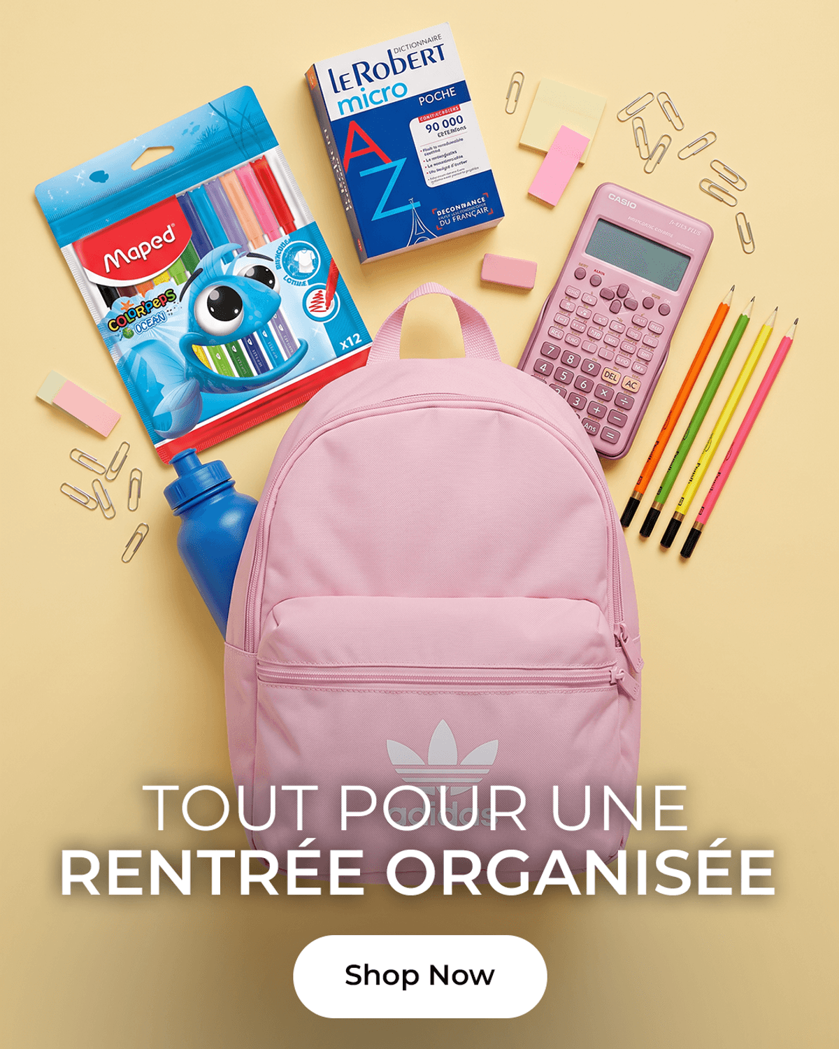School Organization