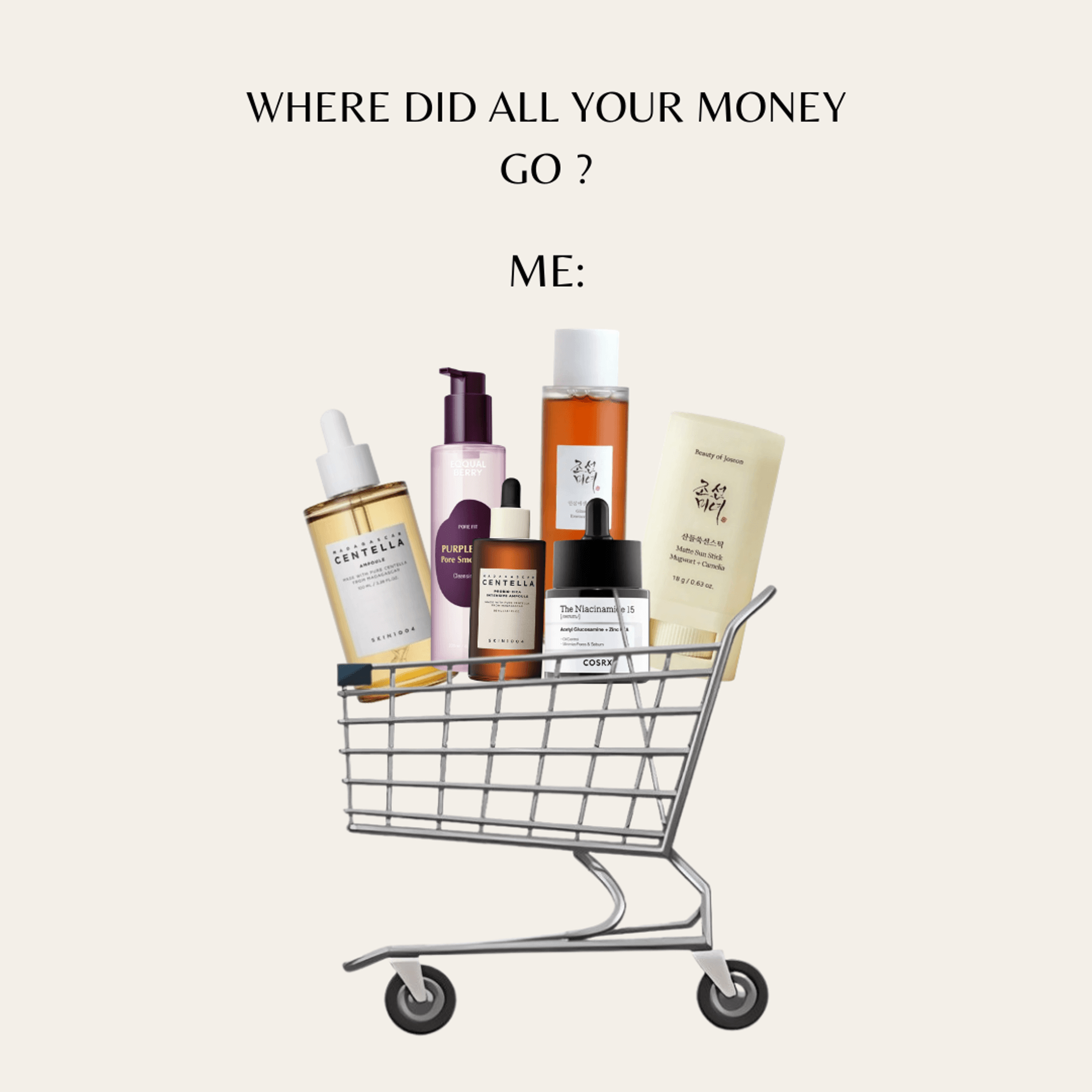 WHERE DID ALL YOUR MONEY GO ?