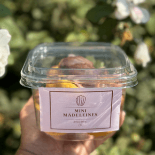 MADELEINES CHOCOLAT 15 PCS - Image 1 of 1