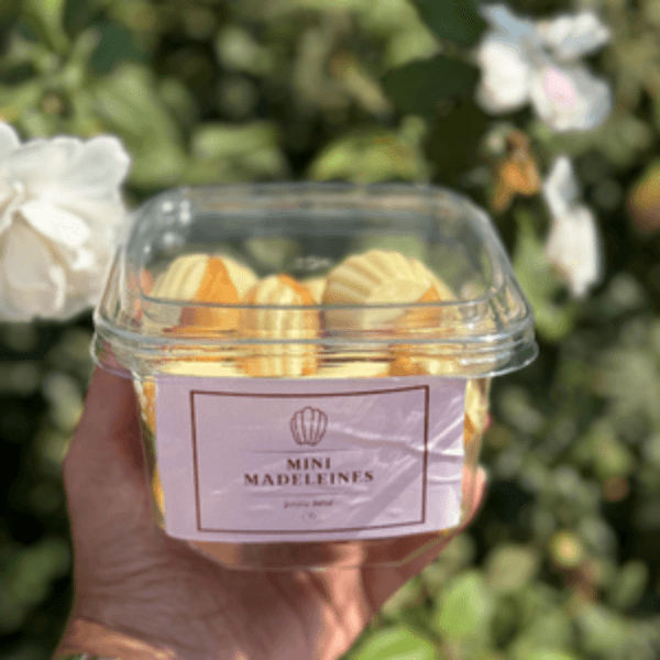 MADELEINES NOIX DE COCO 15 PCS - Image 1 of 1