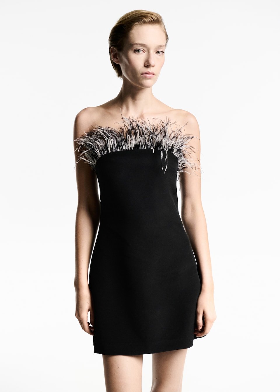 Robe Bustier Détail Plumes - Image 1 of 4