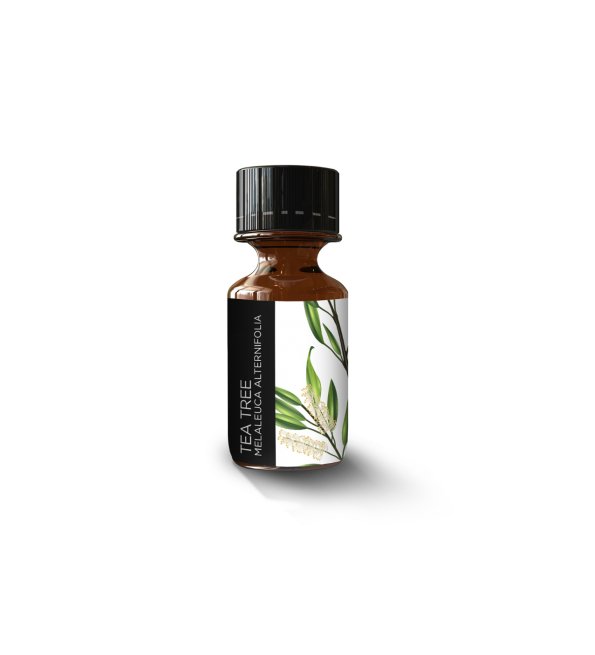 Huile Essentielle Arbre A The 10ml - Image 1 of 1