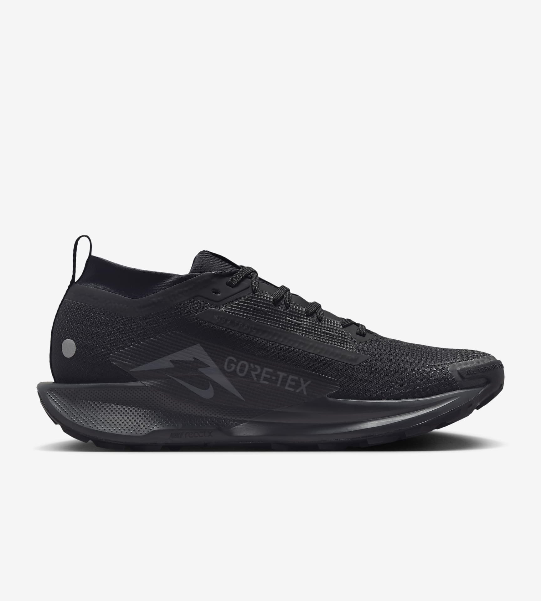 Nike Pegasus Trail 5 GORE-TEX - Image 1 of 4