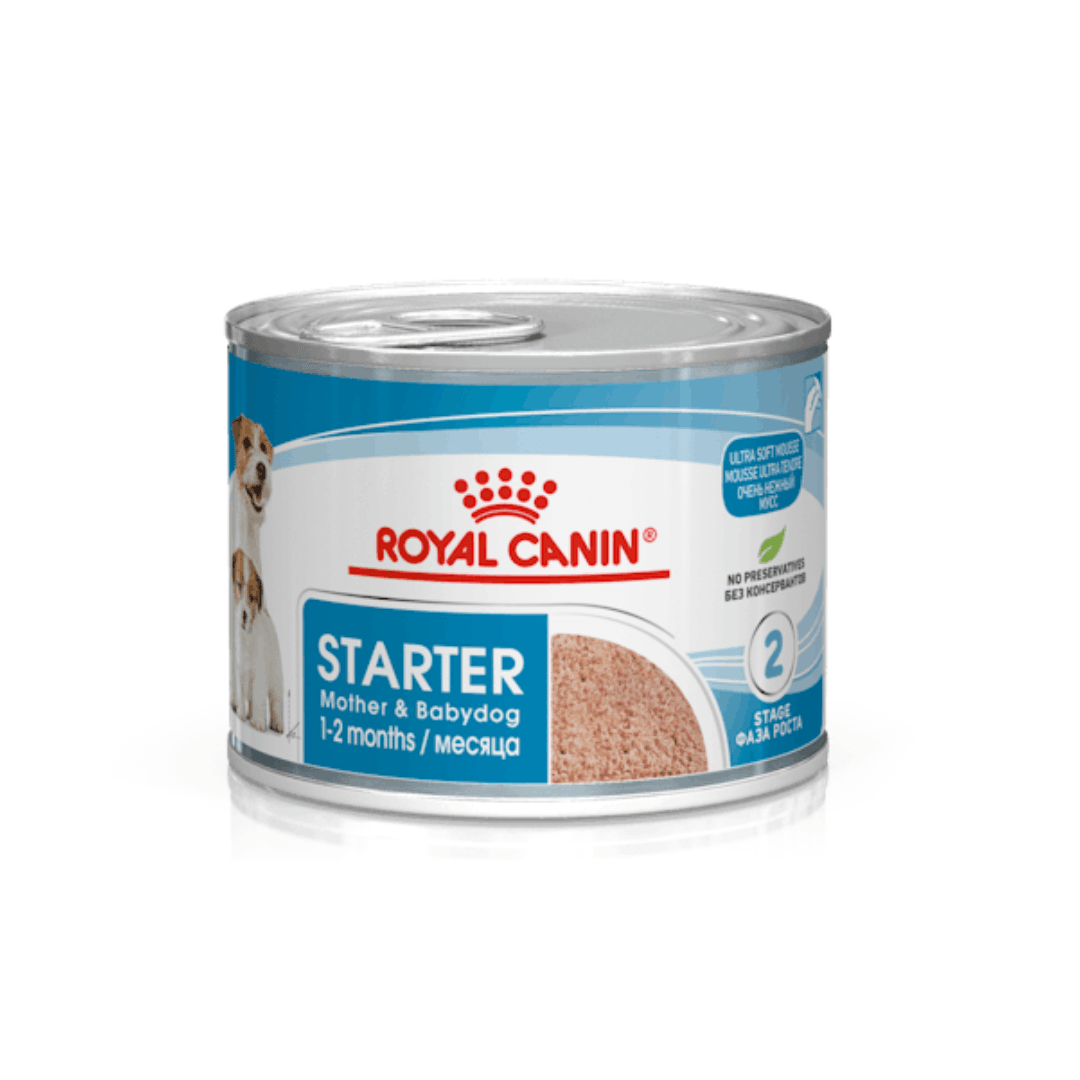 Royal Canin Starter Mousse Ultra Douce pour Chiens Mère et Bébé (195g) - Image 1 of 4