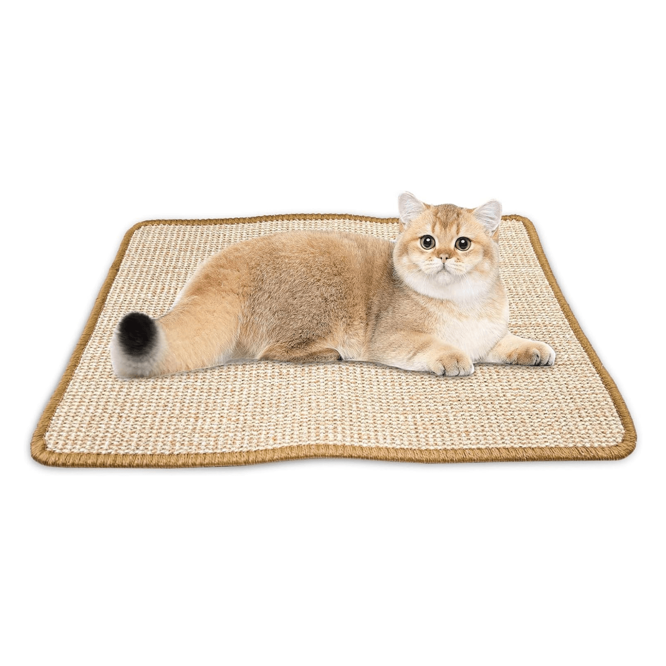Tapis griffoir pour Chat, protège-meubles, pour un soin sain des ongles - Image 1 of 4