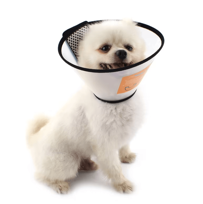 Colerette de Récupération Ajustable – 7 Tailles pour Chiens et Chats (15–46 cm) - Image 1 of 4