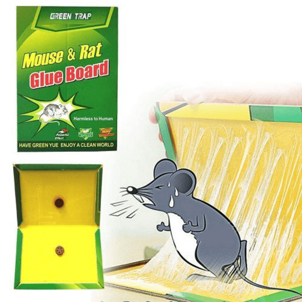 Piège à Colle pour Souris et Rats - Image 1 of 4