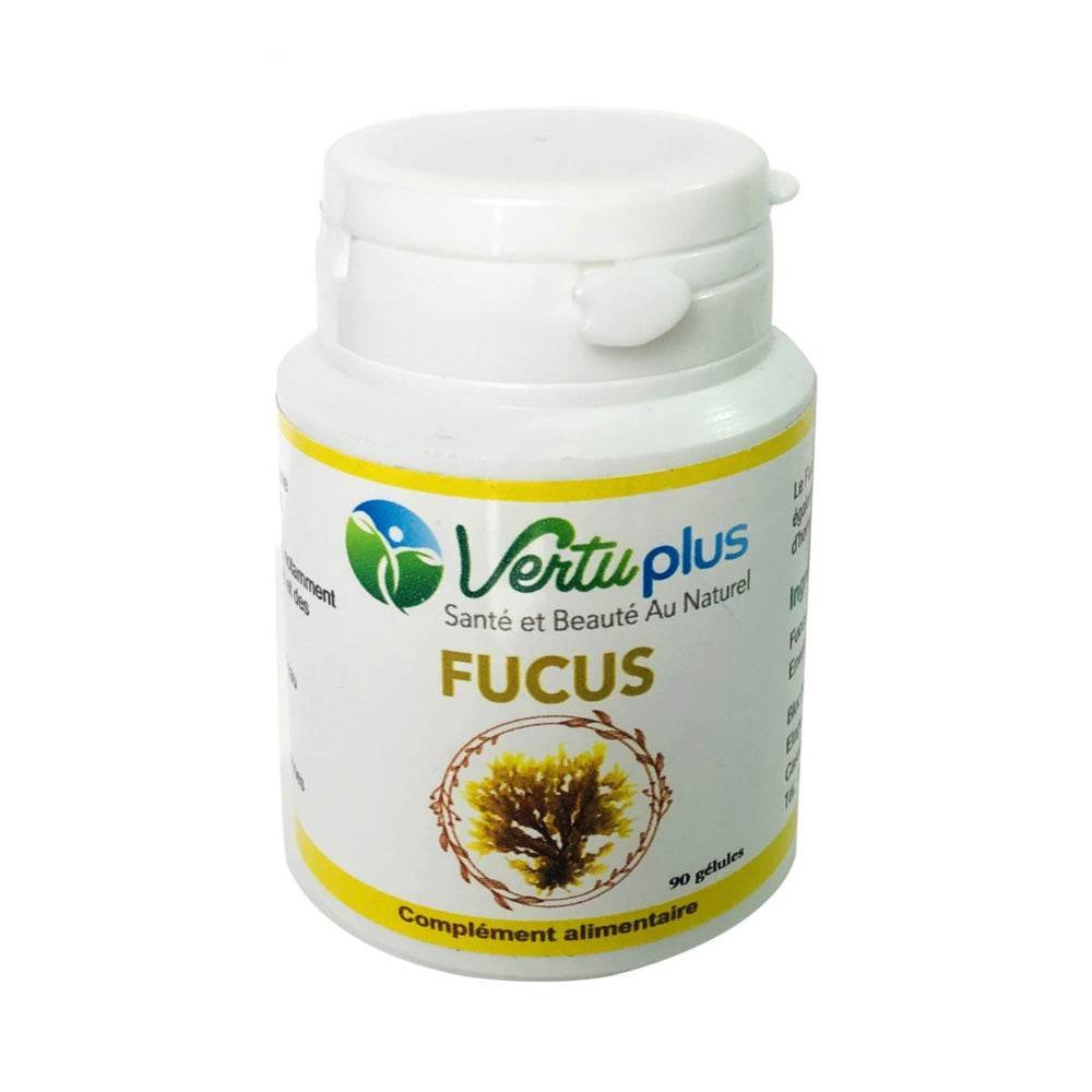 Fucus - Image 1 of 1