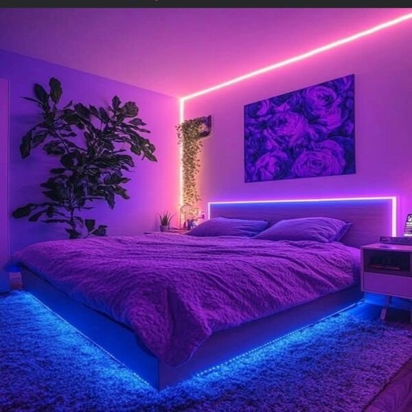 Kit RUBAN LED 24 Wifi RGBIC+CCT Light Strip 5 Mètres. - Image 1 of 1