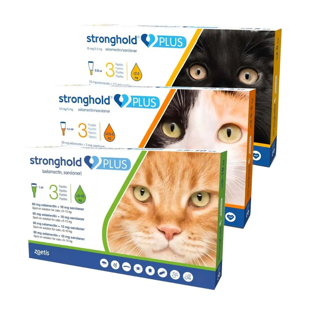 Stronghold – Complete Parasite Protection for Dogs and Cats of All Sizes - Image 1 of 4