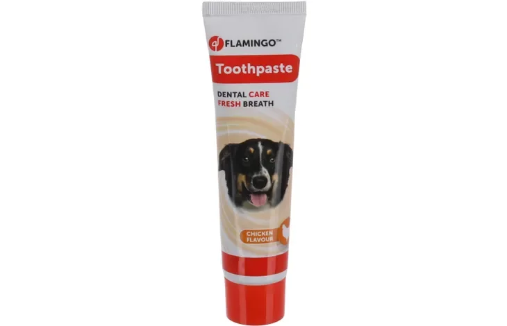 Dentifrice Dafra Saveur Poulet 85gr Display / 521235 - Image 1 of 1