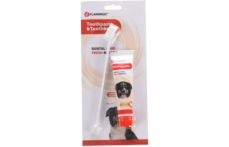 Dentifrice Dafra Saveur Poulet + Brosse A Dents 85gr / 521236 - Image 1 of 1