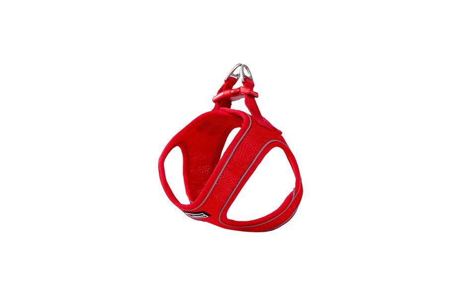 Harnais Soft - Red S - Image 1 of 1