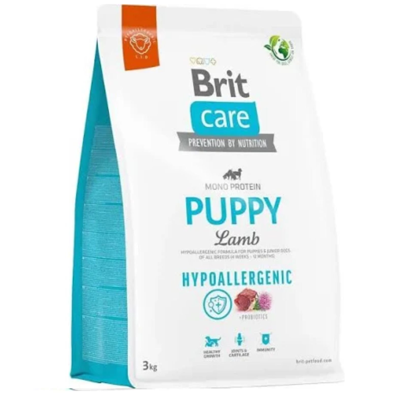 Dog Hypoallergenic Puppy - Image 1 of 1