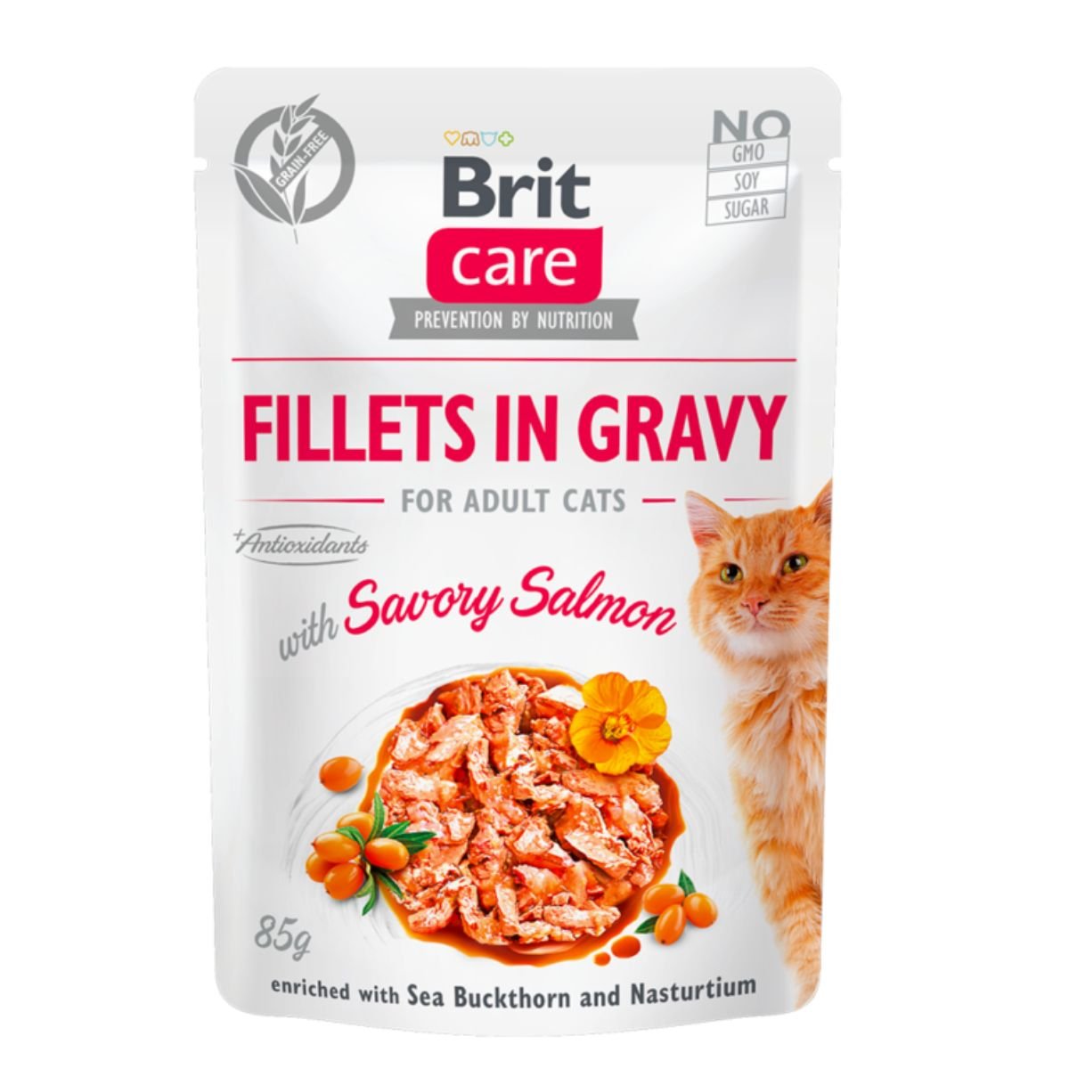 Pochons En Sauce Pour Chat Savory Salmon (saumon) - Image 1 of 1