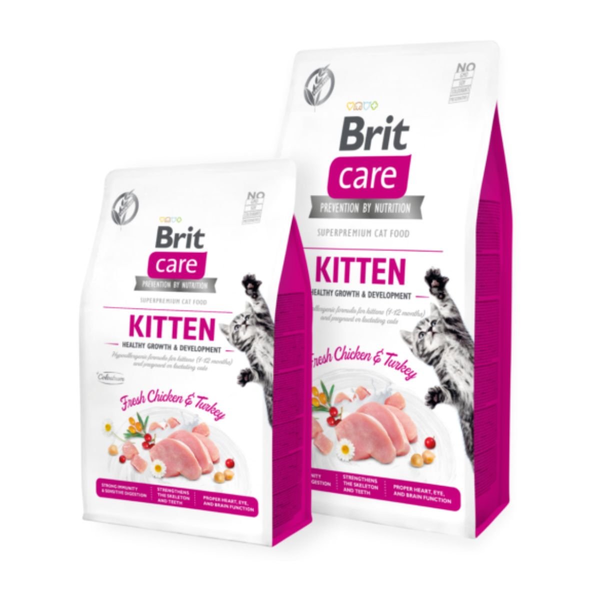 Croquettes Chaton Healthy Growth & Development - Image 1 of 1