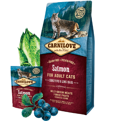 Croquettes Cat Salmon Sensitive – Digestion Sensible, Poil Long - Image 1 of 2