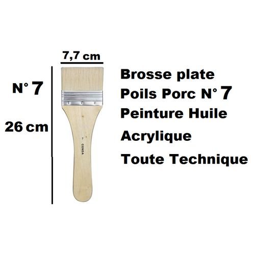 Pinceau Brosse Plate Poils Porc N° 7 - Image 1 of 1