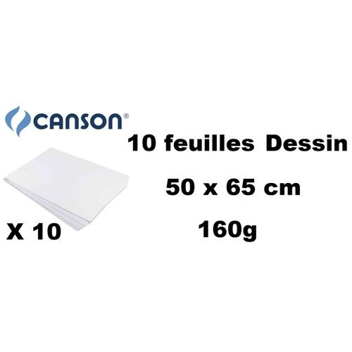 10 Feuilles Papier À Dessin Ja 160 G/m² Raisin 50 X 65 Cm - Image 1 of 1
