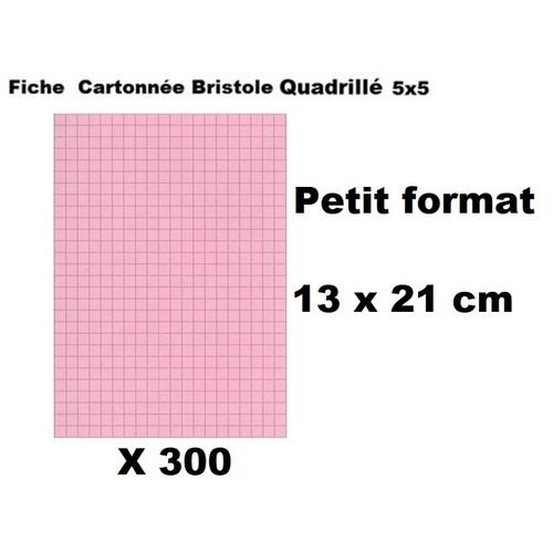 Bristol Lot Economique 300 Fiches Cartonnés Bristol Quadrillées-13 X 21cm-rose - Image 1 of 1
