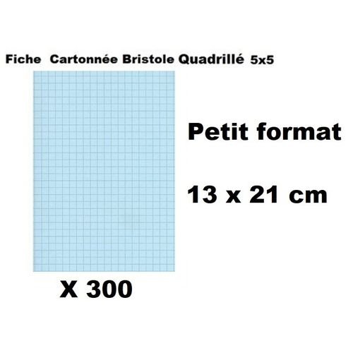 Lot 300 Fiches Cartonnés Bristol Quadrillées-13 X 21cm-bleu  - Image 1 of 1