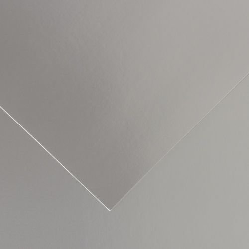 Lot De 5 Feuilles Lisses De Dessin En Argent Format Raisin 50x65 Cm 280g - Image 1 of 1