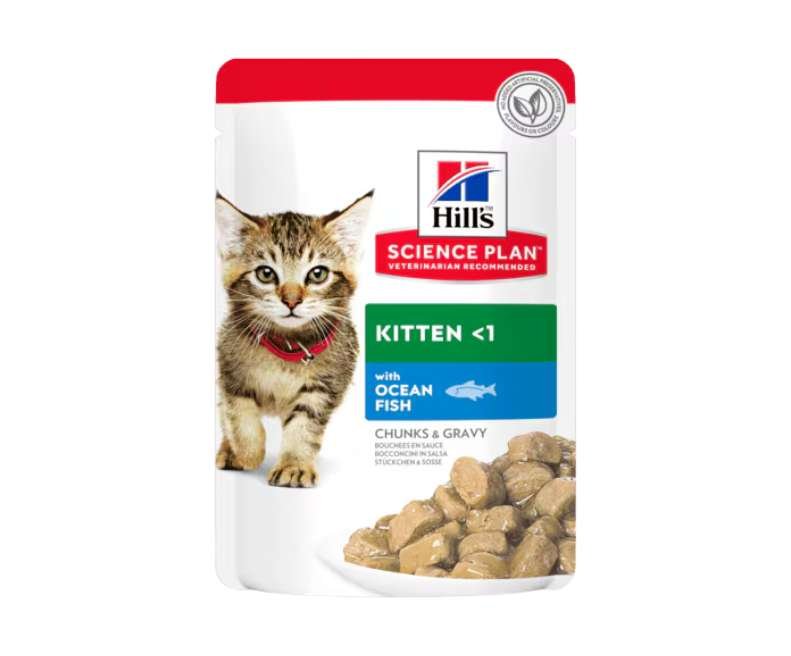 Pâtée Hill’s Pour Chaton Kitten Poisson De Mer  - Image 1 of 1