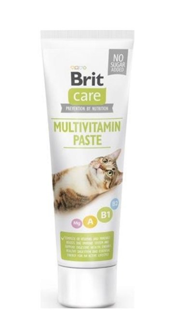 Pâte Pour Chat Multivitamine Cat 100 G - Image 1 of 1