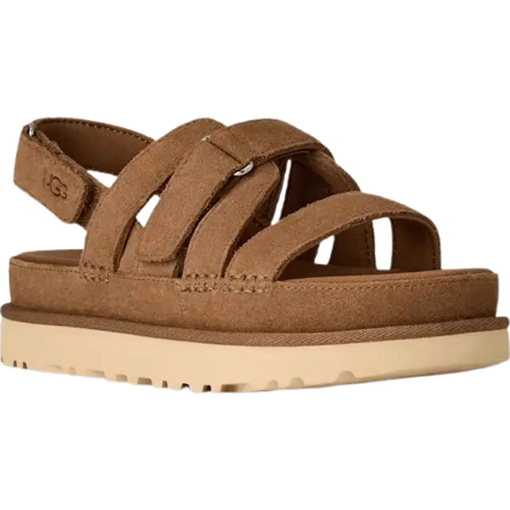 Goldenstar Gleam Chestnut - Image 1 of 8