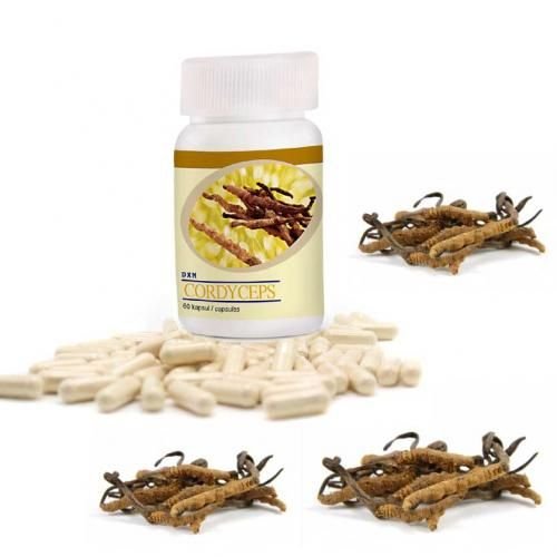 Cordyceps Sinensis En Gélules : Vigueur Et Vitalité - Image 1 of 2