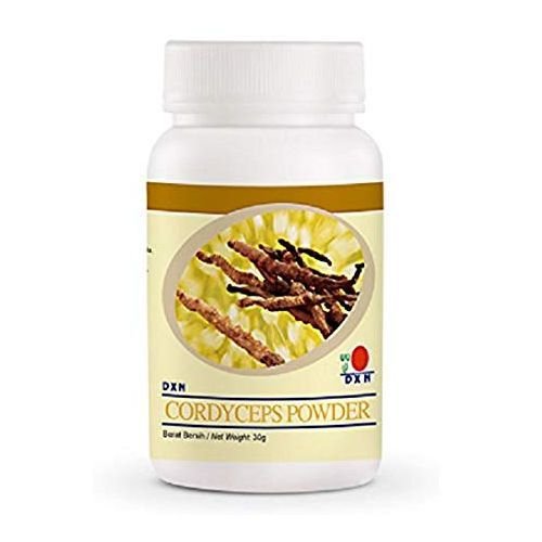 Dxn Cordyceps Sinensis Poudre - Image 1 of 1