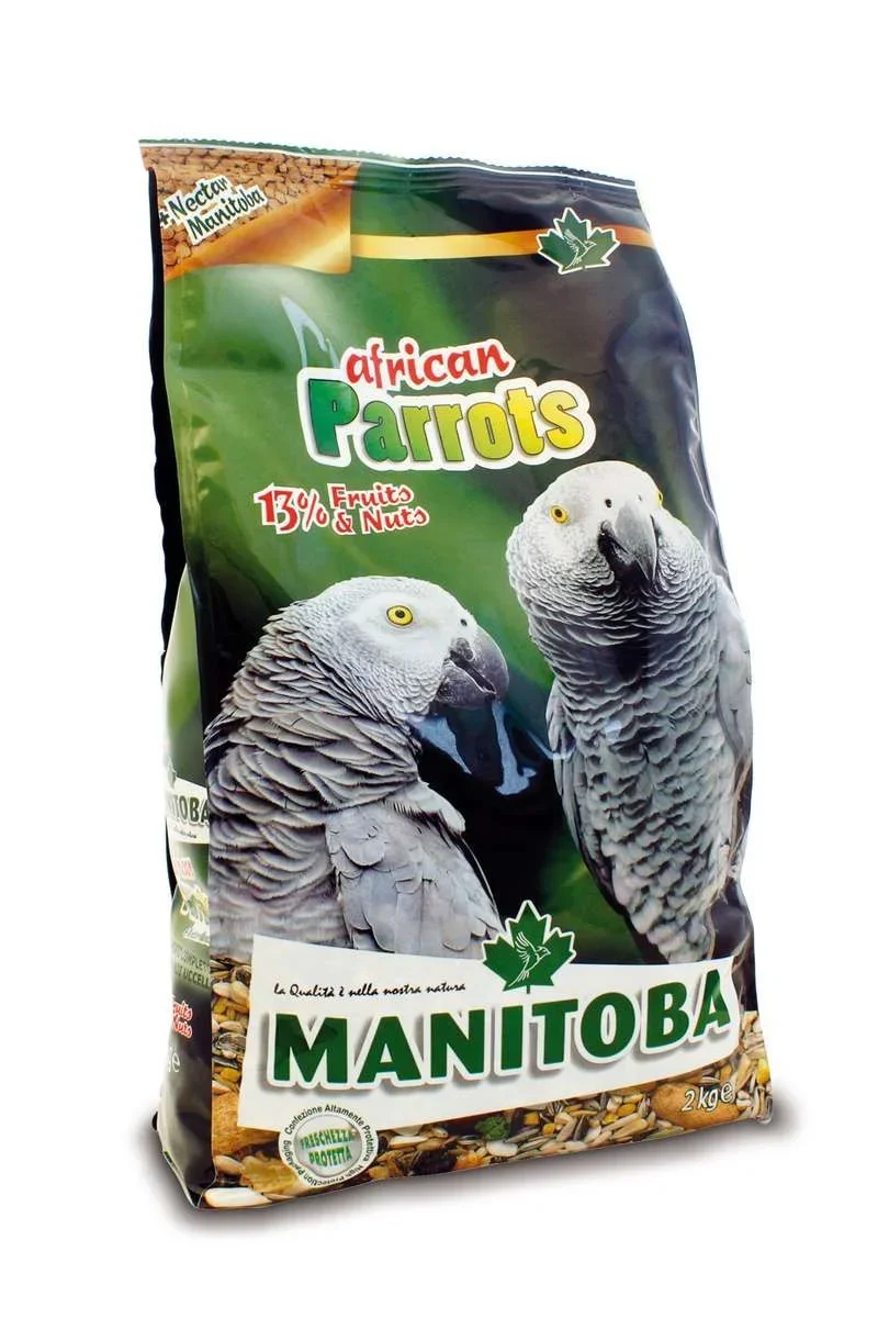 African Parrots 2 Kg - Image 1 of 1