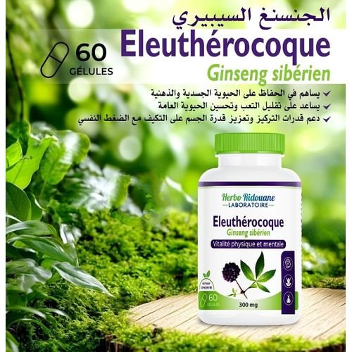 Eleuthérocoque (gin-seng Sibérien) - 300 Mg - 60 Gélules - Vitalité Physique & Mentale - Image 1 of 3