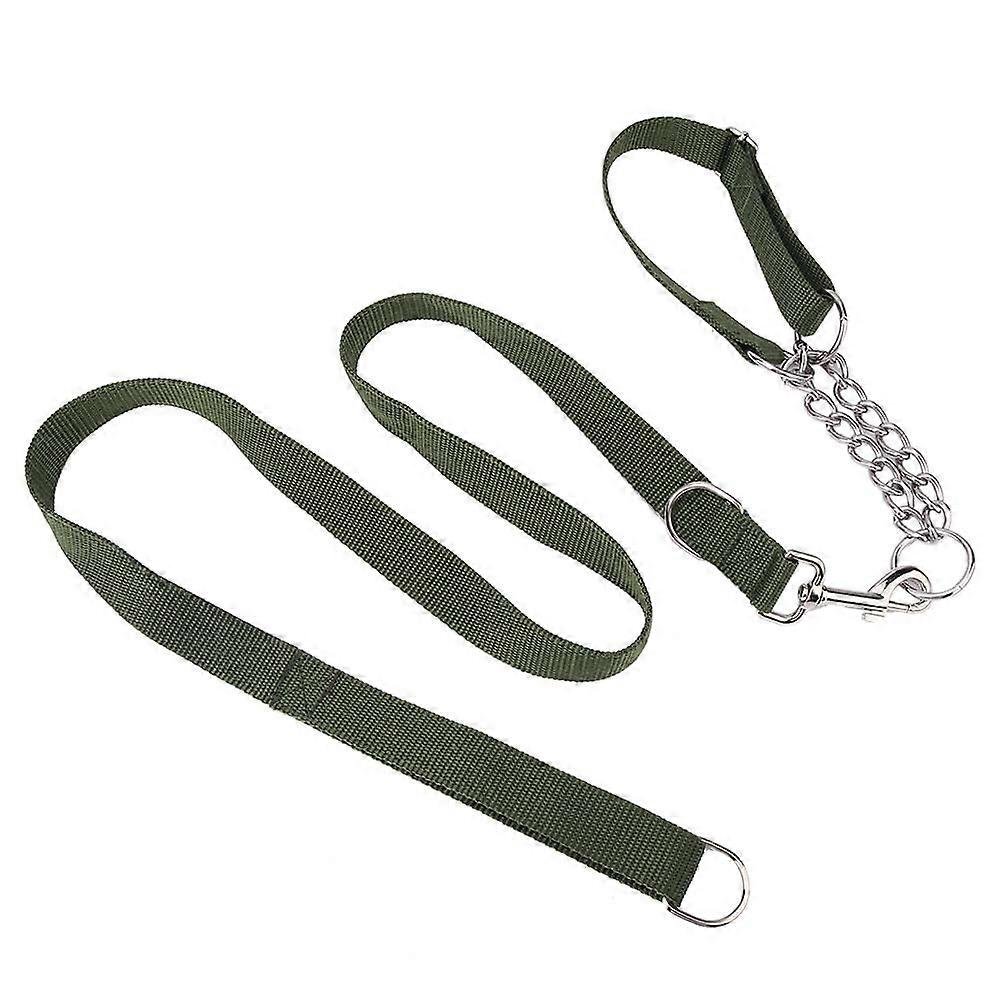 Laisse Réglable Pour Chien Avec Collier Semi-étrangleur Intégré 1,3m - Image 1 of 1