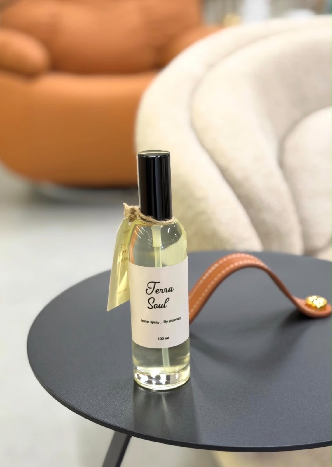 Home Spray - Terra Soul - Image 1 of 1
