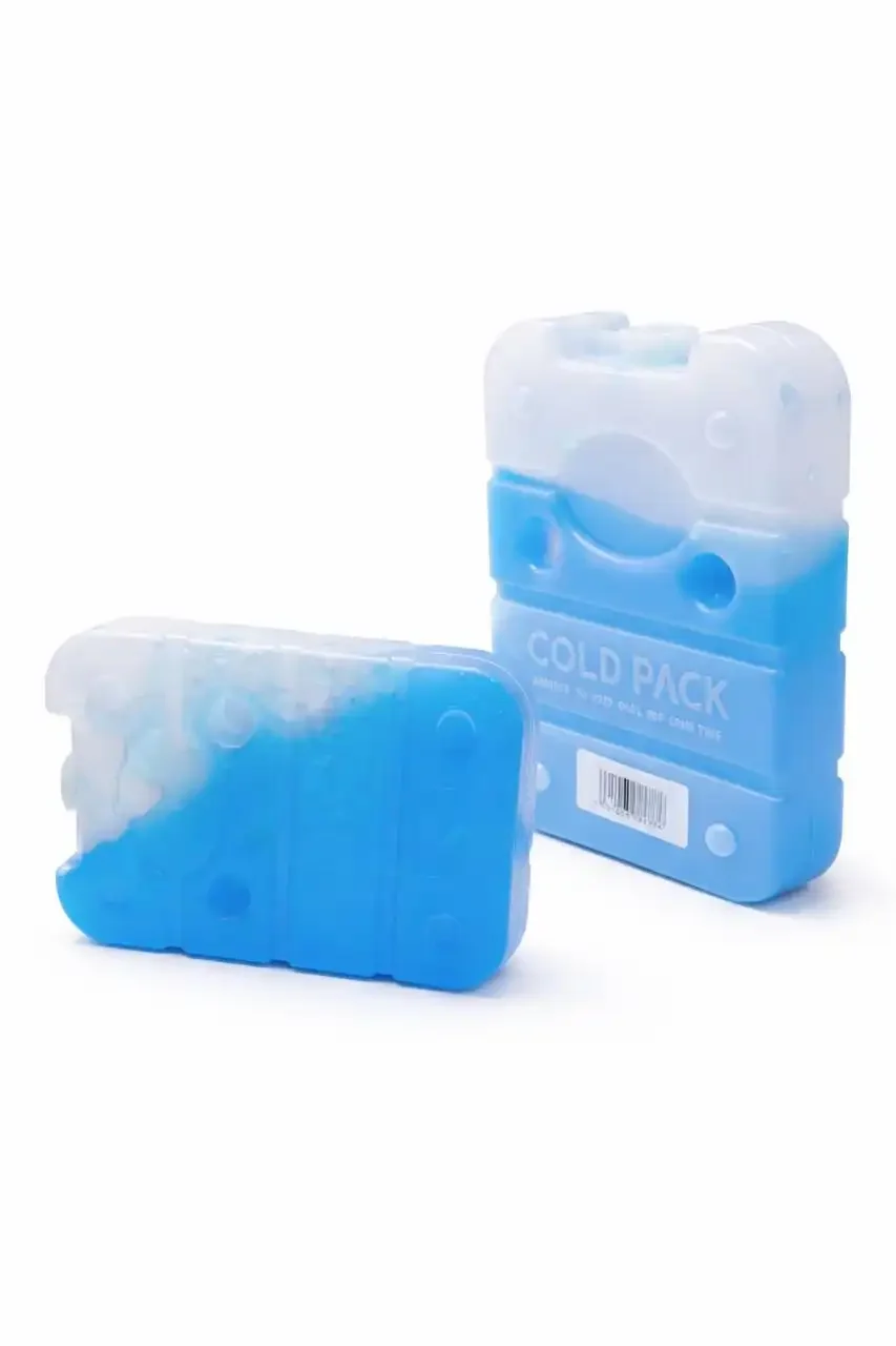 Lot De 2 En Gel De Accumulateur De Froid Glacières Et Sacs Isothermes - Image 1 of 2