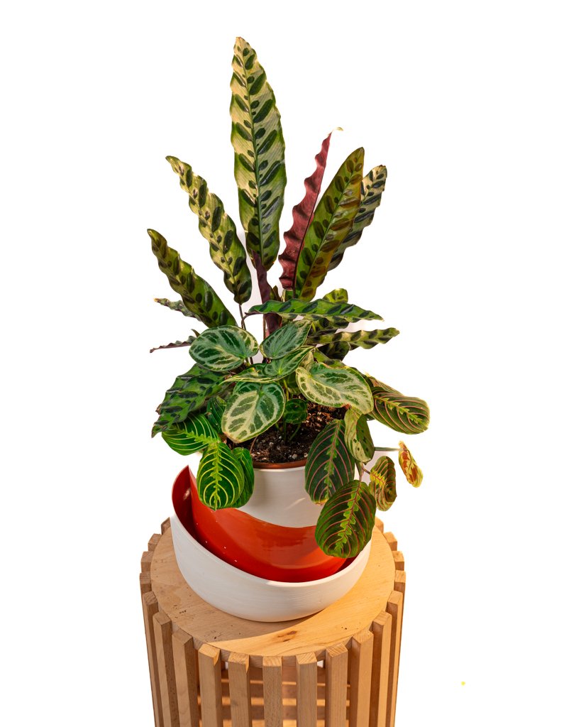 Cache Pot Artisanal - 22cm - Image 1 of 4