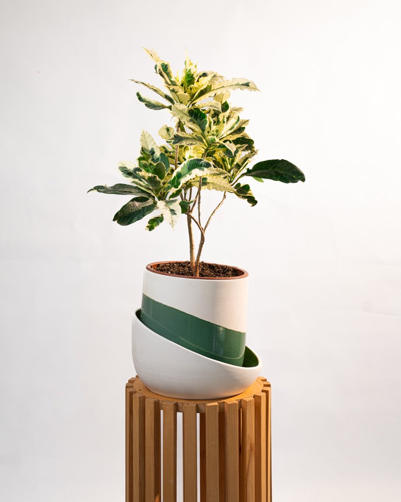 Cache Pot Artisanal, Vert Olive - Image 1 of 3