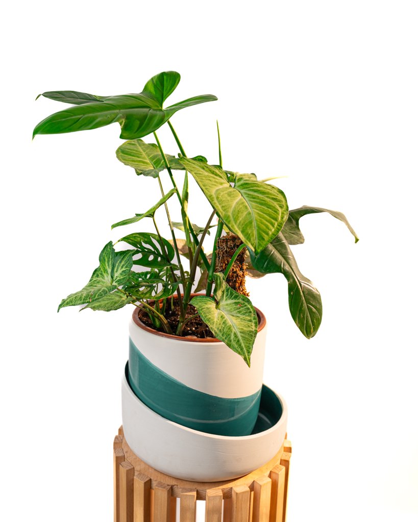 Cache Pot Artisanal - Bleu Canard - 22cm - Image 1 of 4