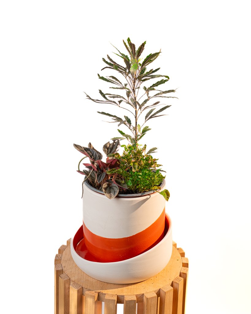 Cache Pot Artisanal, Rouge Orange - Image 1 of 4