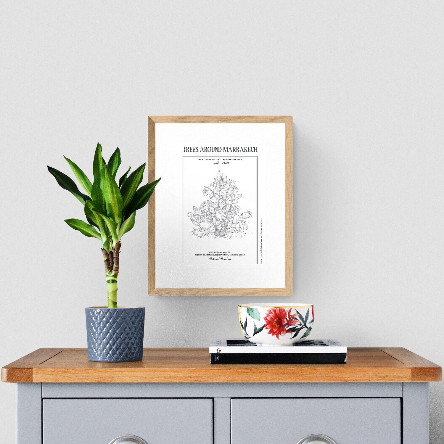 Affiche planche botanique CACTUS - Image 1 of 4