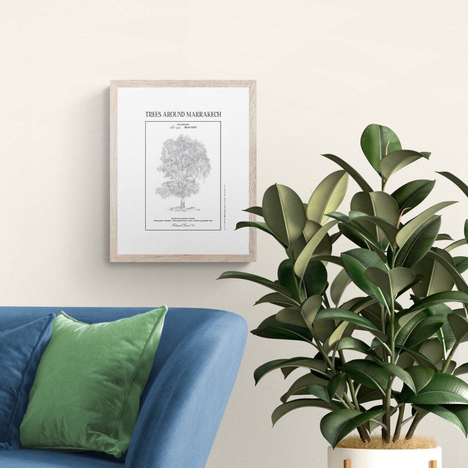 Planche botanique EUCALYPTUS - Image 1 of 4