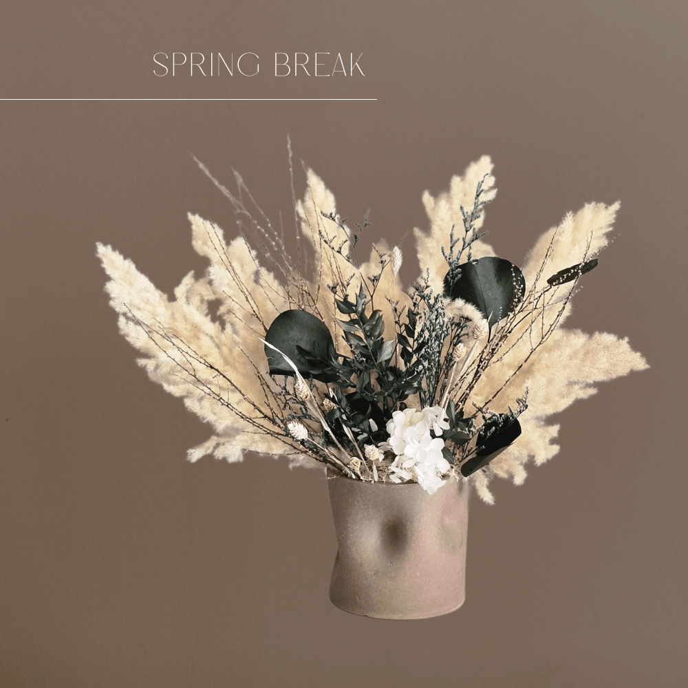 Spring Break - Image 1 of 1