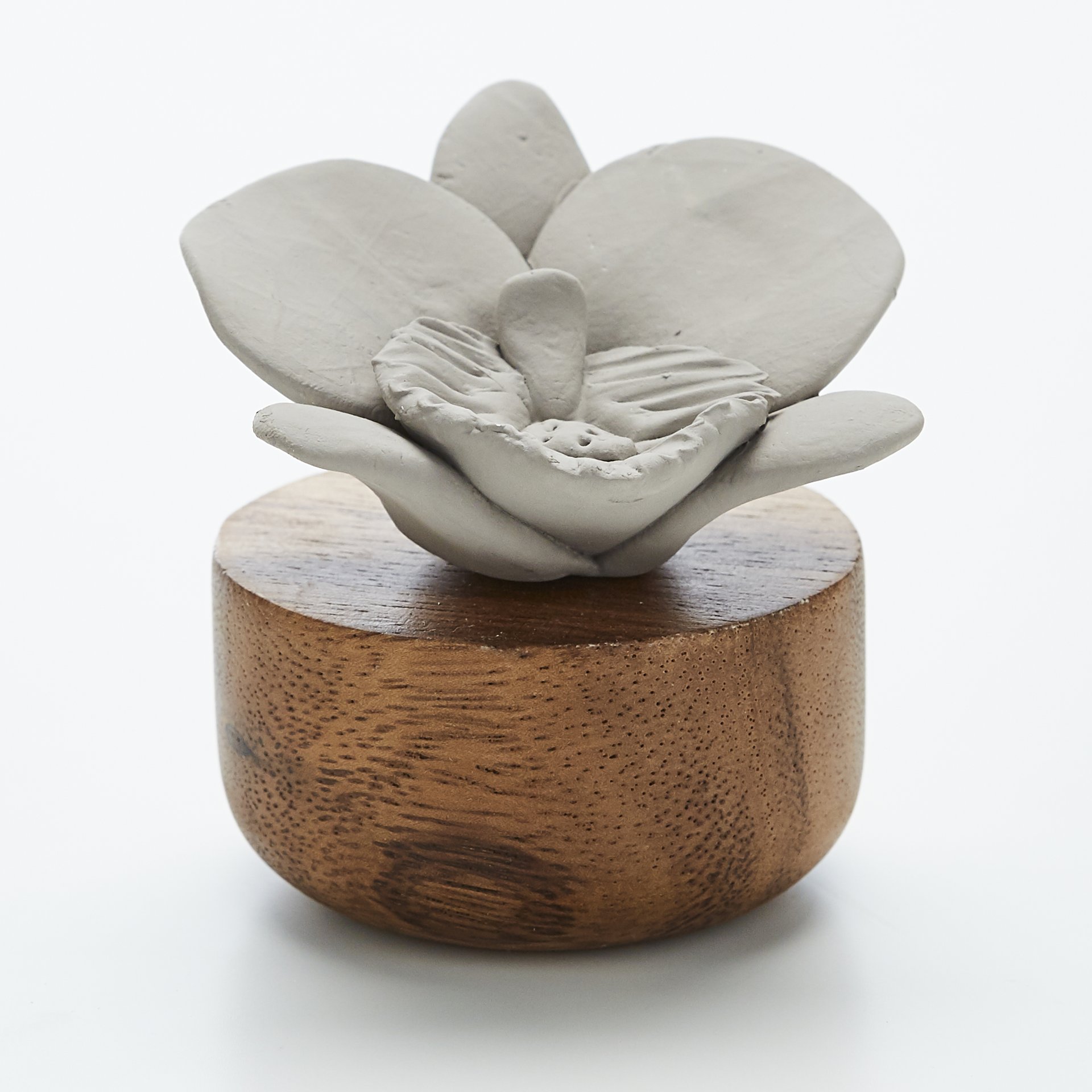 ORCHIDÉE DU NÉPAL GRISE- DIFFUSEUR EN PORCELAINE ET BOIS DACACIA POUR INTÉRIEUR - Image 1 of 1