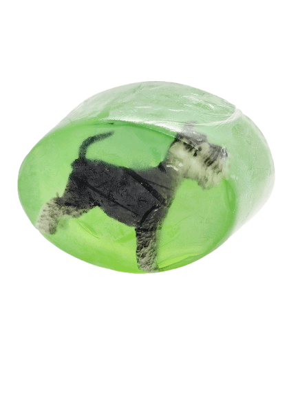 Savon Swibi - Chien - Parfum Pomme - Image 1 of 3