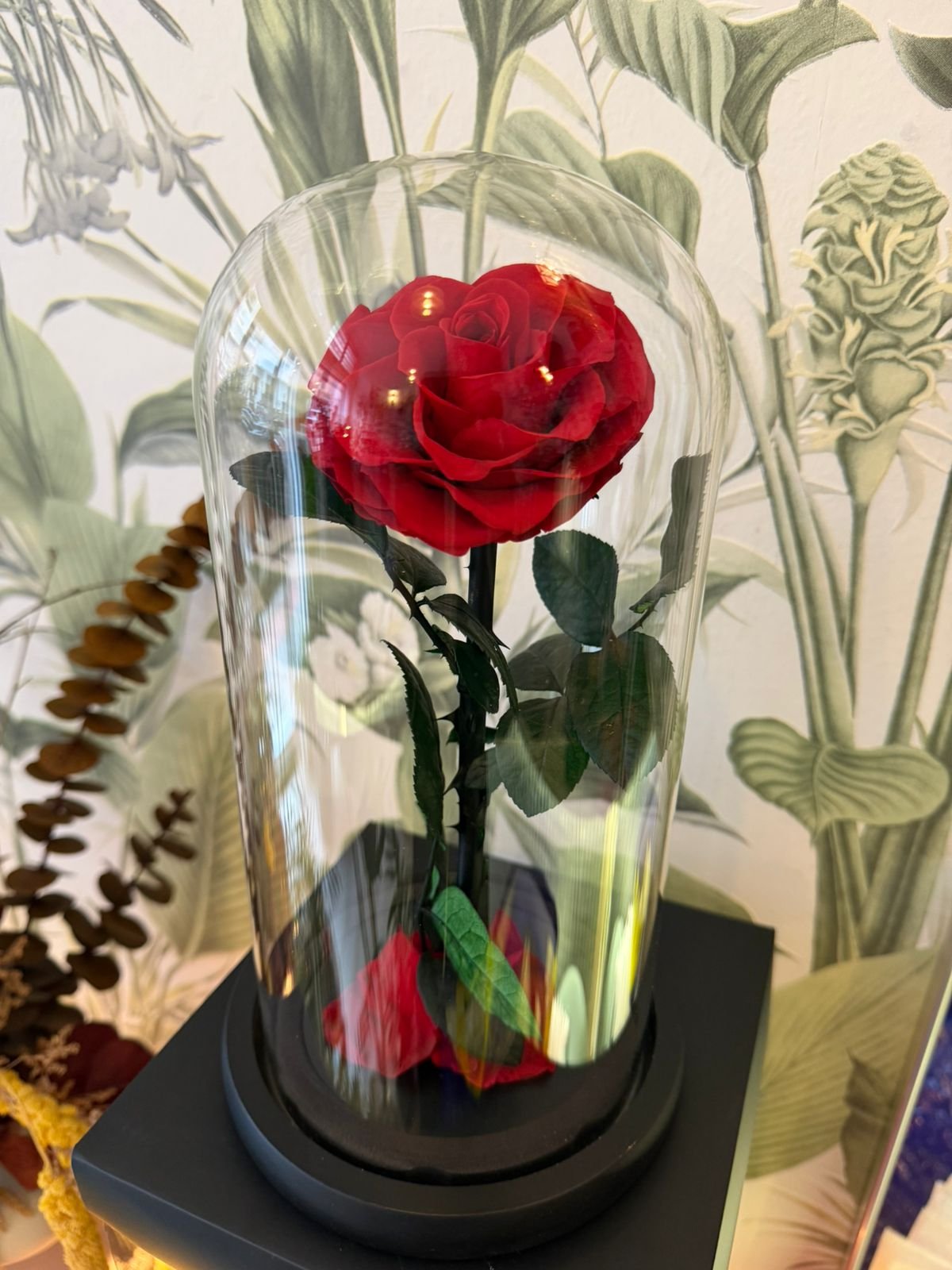 Rose Éternelle Love - Image 1 of 3