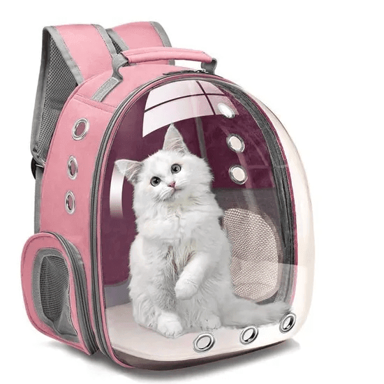 Sac À Dos Polyvalent Pour Petits Animaux De Compagnie, Pour Chiens Et Chats - Image 1 of 1