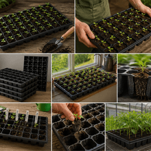 Pot Semis, Amitas 10 Pcs Plateau De Semis En Ps Pot De Plantation thumbnail 1
