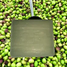 Savon Artisanal Ismailia A L'huile D'olive Le Frère Jumeau Du Savon D’alep thumbnail 3